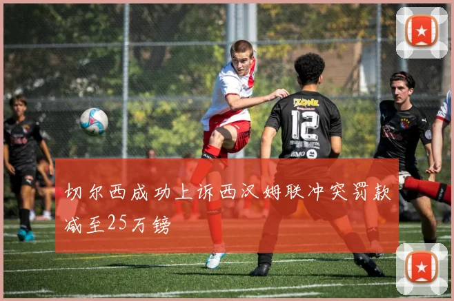 切尔西成功上诉西汉姆联冲突罚款减至25万镑