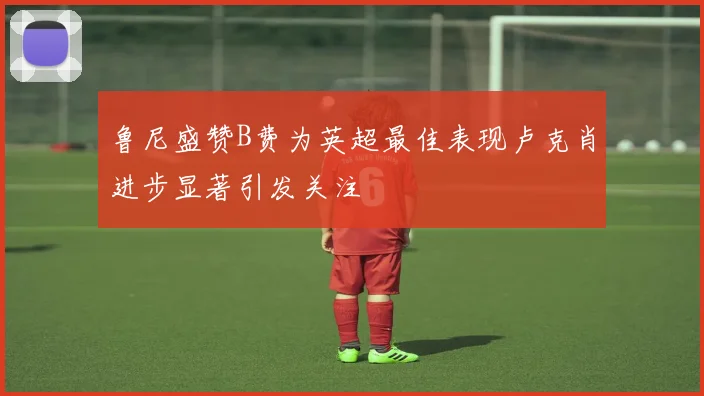 鲁尼盛赞B费为英超最佳表现卢克肖进步显著引发关注